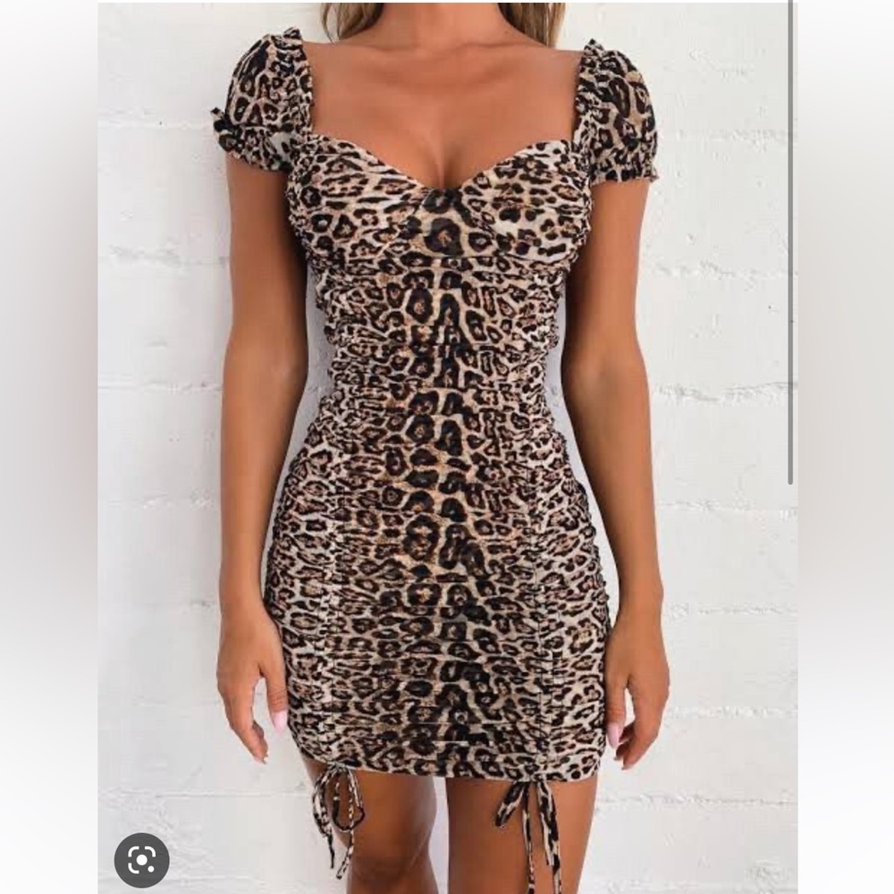 Tiger Mist Toronto Dress - Leopard